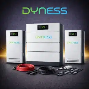 Dyness