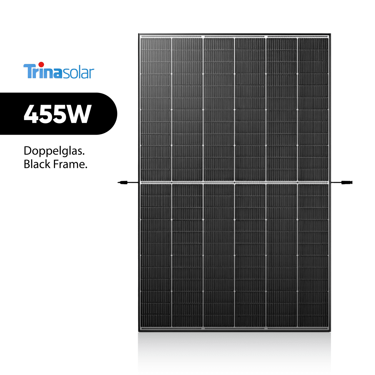 Trina Solar Vertex S+ 455W Doppelglas Black Frame TSM-455NEG9R.28 N-type