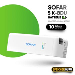 SOFAR BTS 5K-BDU Kontrolmodul