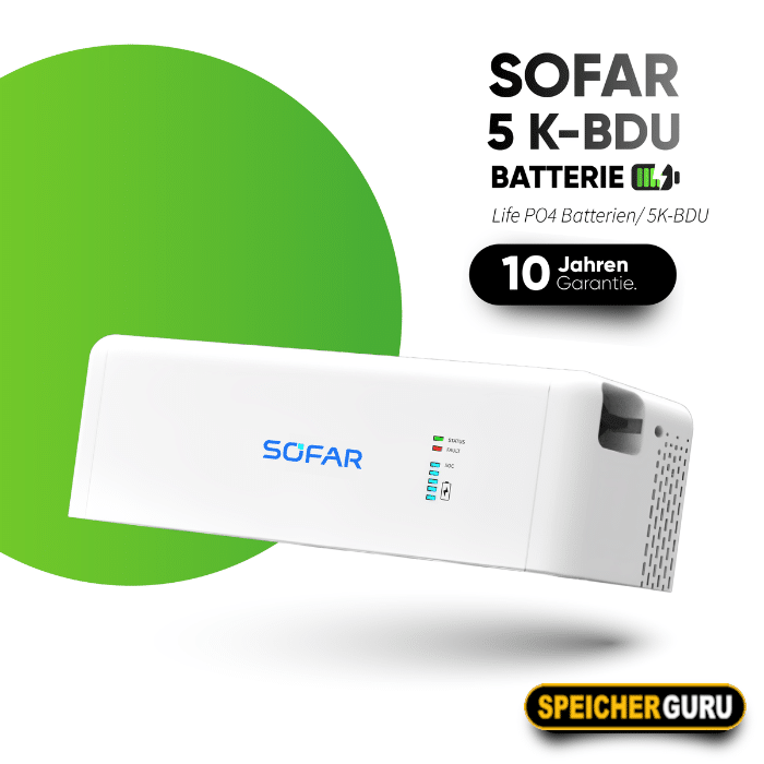 SOFAR BTS 5K-BDU Kontrolmodul