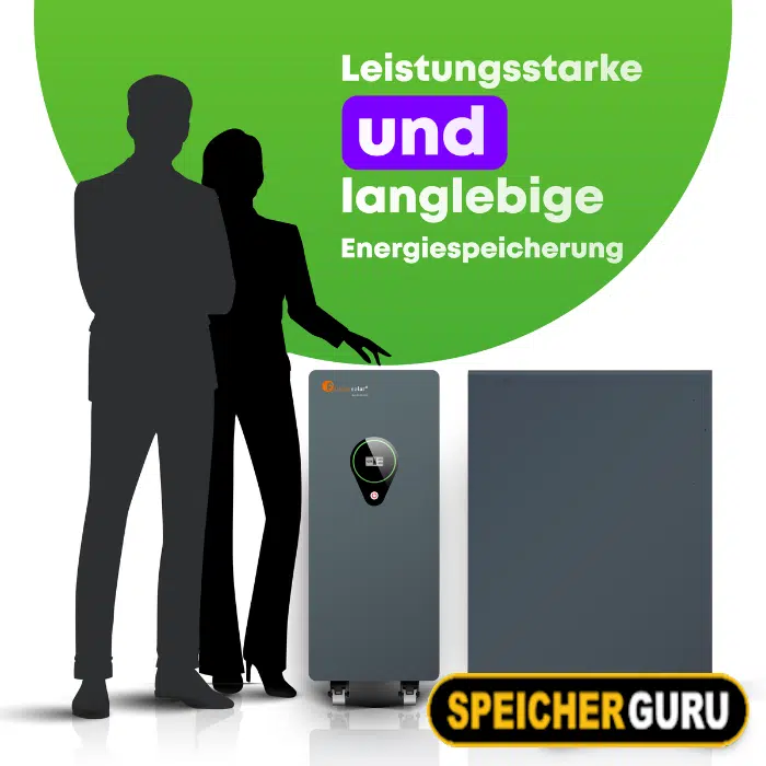 Felicity 25 kWh Speicher | FLA48500 | LiFePO4 Lithium Solarbatterie 48V 500Ah – Bild 5