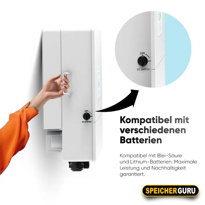 Deye Hybrid-Wechselrichter SUN-30K-SG01HP3-EU-BM3 30kW – Bild 4